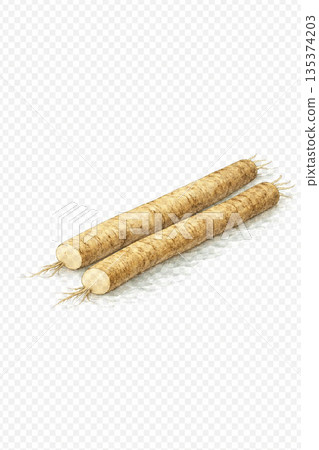 牛蒡根，冬季時令（水彩風格，簡單的蔬菜插圖材料） 135374203