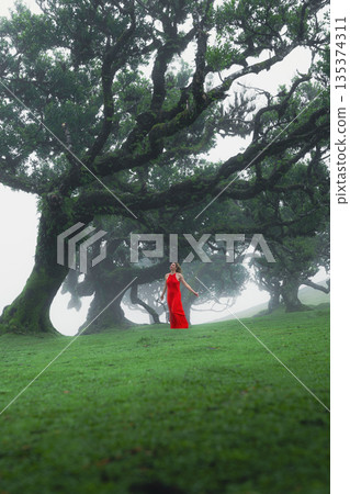 Woman in red dress amid towering oaks forest guardian editorial Woman in red dress amid towering oaks forest guardian editorial 135374311