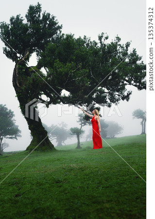 Woman in red dress by ancient oak contemplative traveler Woman in red dress by ancient oak contemplative traveler 135374312