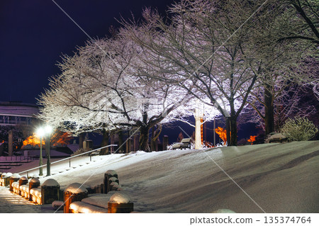 A fantastic night snow scene and street lights 135374764