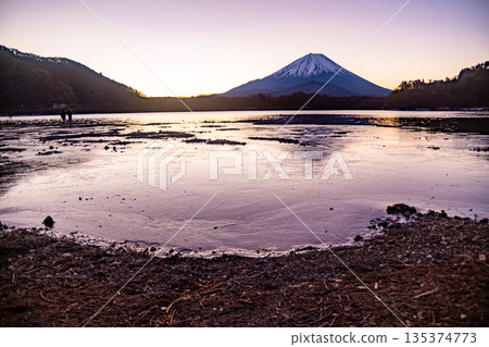 (山梨縣)日出前從精進湖眺望富士山 (山梨縣)日出前從精進湖眺望富士山 135374773