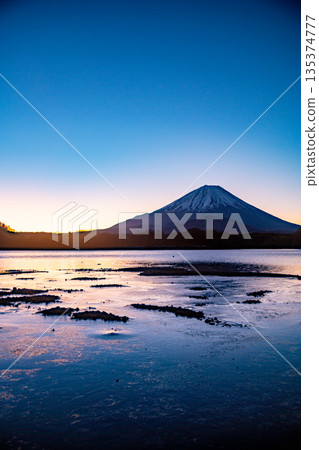 (Yamanashi Prefecture) Mount Fuji seen from Lake Shoji before sunrise (Yamanashi Prefecture) Mount Fuji seen from Lake Shoji before sunrise 135374777