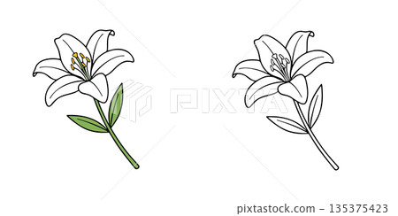 Simple white lily icon illustration 135375423
