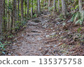熊野參拜道 135375758