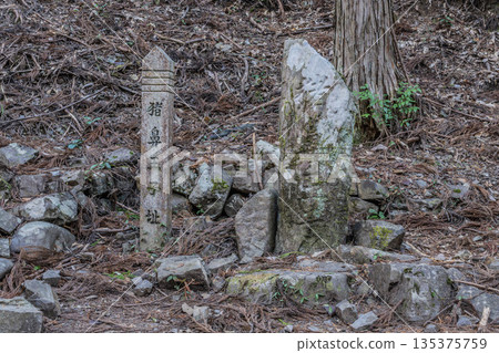 熊野參拜道 熊野參拜道 135375759