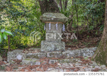 熊野參拜道 135375761