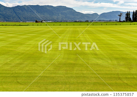 Natural lawn growing on a farm. Green lawn with irrigation system over the field on summer day 135375857