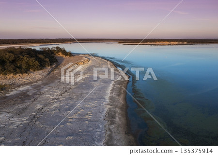 Calden forest landscape, Prosopis Caldenia plants, La Pampa province, Patagonia, Argentina. Calden forest landscape, Prosopis Caldenia plants, La Pampa province, Patagonia, Argentina. 135375914