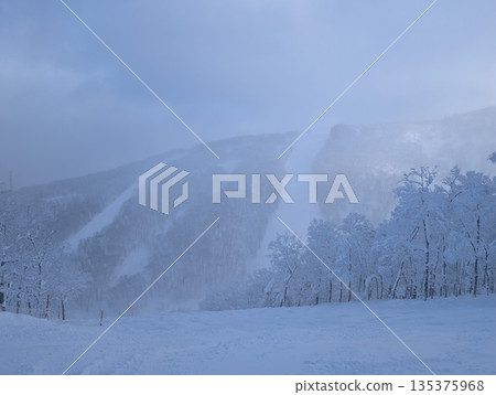 陰沉的冬日清晨 135375968