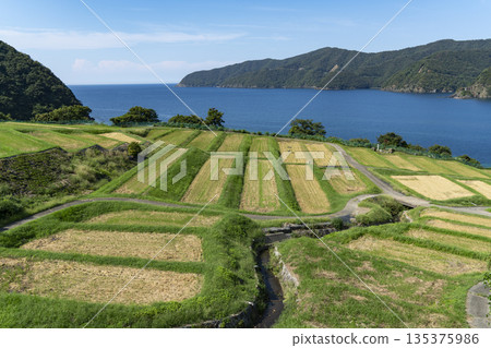 塔加拉蘇梯田 135375986