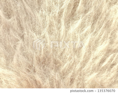 fluffy beige fibers macro texture arrow pointing single strand delicate natural closeup soft ethereal material for wallpaper design background fluffy beige fibers macro texture arrow pointing single strand delicate natural closeup soft ethereal material for wallpaper design background 135376070