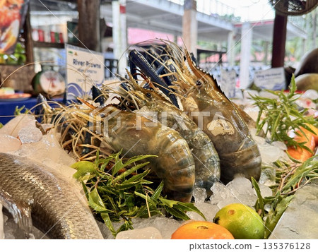 Large fresh king prawns on ice Large fresh king prawns on ice 135376128