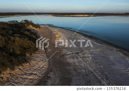 Calden forest landscape, Prosopis Caldenia plants, La Pampa province, Patagonia, Argentina. 135376216
