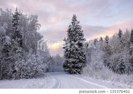 Snowy Forest Road Through Frosted Trees 135376402