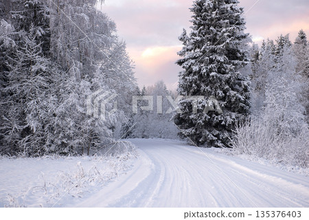 Curving Snow Road in Dense Winter Forest Curving Snow Road in Dense Winter Forest 135376403