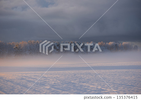 Soft Winter Field With Low Fog And Dark Blue Sky Soft Winter Field With Low Fog And Dark Blue Sky 135376415