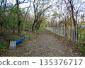 Serene autumn path with a blue bench in a woodland park. Woodland park path covered in fallen leaves. Leafless trees with sparse autumn foliage line the trail.  135376717