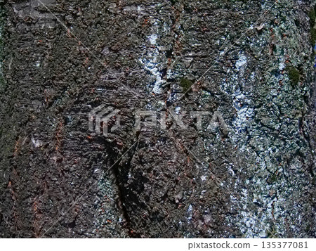 Background material, text insertion, stylish, wood 135377081