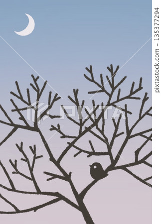 傍晚的天空映襯著樹木和鳥兒的輪廓 135377294