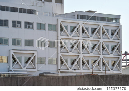 Earthquake reinforcement of buildings_03 135377378