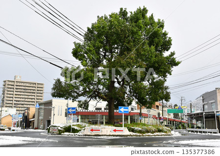 Roundabout in Tottori city_08 Roundabout in Tottori city_08 135377386