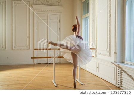 Young ballerina in tutu skirt stretching practicing ballet positions dancing near ballet barre in dance class. Young classical dancer woman in dance studio. Ballet class training Ballet school concept Young ballerina in tutu skirt stretching practicing ballet positions dancing near ballet barre in dance class. Young classical dancer woman in dance studio. Ballet class training Ballet school concept 135377530