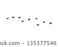 Bird sillhouette Flock black birds. Flocks of flying pigeons isolated on background. Save with clipping path. flying birds formation of pigeons many isolated for backgound PNG 135377546