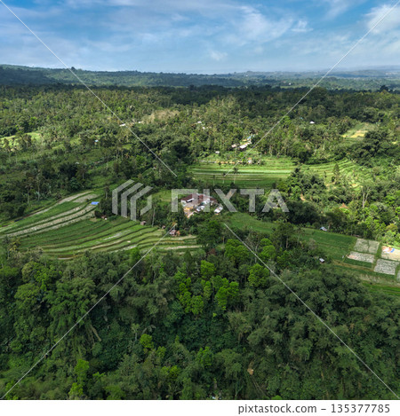 Landscaped Terraces Built To Facilitate Rice Growing And Water Management Landscaped Terraces Built To Facilitate Rice Growing And Water Management 135377785