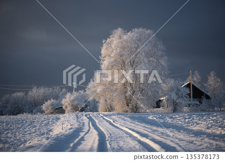 Snow Covered Country Road Leading Toward Frosted Trees And Winter House Snow Covered Country Road Leading Toward Frosted Trees And Winter House 135378173