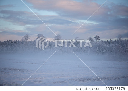 Frozen Meadow With Fog And Pastel Winter Clouds 135378179