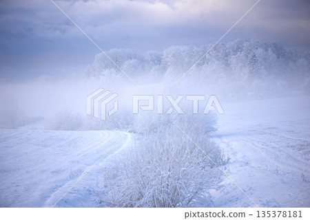 Soft Winter Meadow With Pale Snow And Gentle Fog Under Pastel Sky 135378181