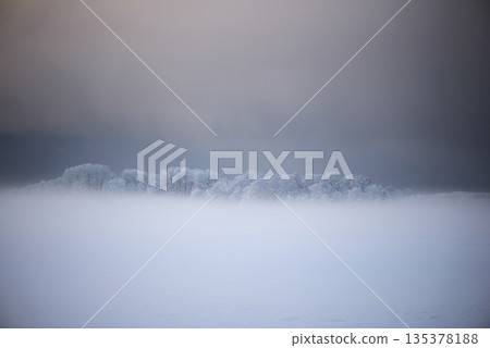 Minimal Winter Horizon With Frosted Tree Line 135378188