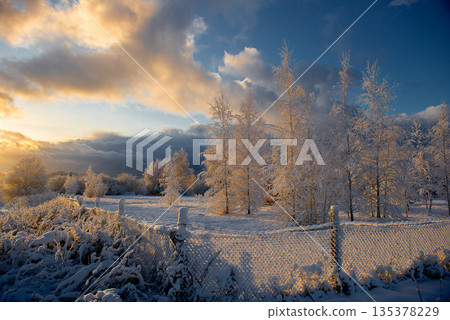 Frost Covered Fence and Snowy Meadow in Soft Winter Sunlight Frost Covered Fence and Snowy Meadow in Soft Winter Sunlight 135378229