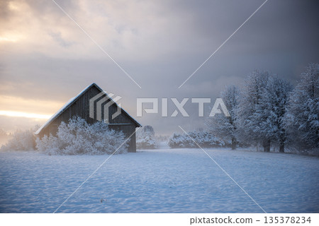 Traditional Wooden Barn In Snowy Field During Soft Winter Light Traditional Wooden Barn In Snowy Field During Soft Winter Light 135378234