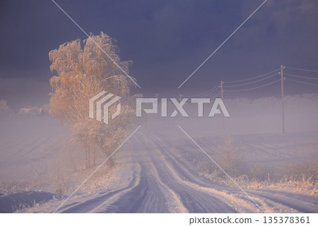 Lonely Frosted Tree Standing In Lavender Fog Beneath Dark Winter Clouds Lonely Frosted Tree Standing In Lavender Fog Beneath Dark Winter Clouds 135378361
