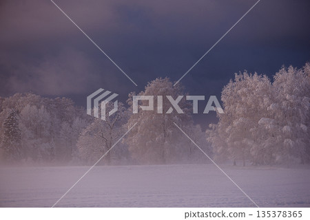 Icy Country Road Leading Into Blue Storm Light 135378365