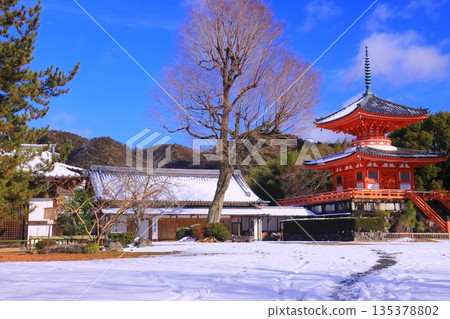 Daikakuji Temple (Ukyo Ward, Kyoto City) Heart Sutra Pagoda Snow Scene Daikakuji Temple (Ukyo Ward, Kyoto City) Heart Sutra Pagoda Snow Scene 135378802