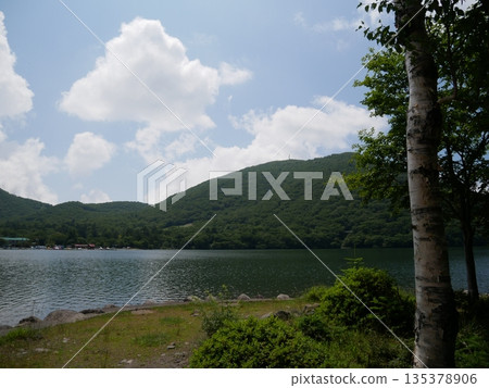 湖岸 湖岸 135378906