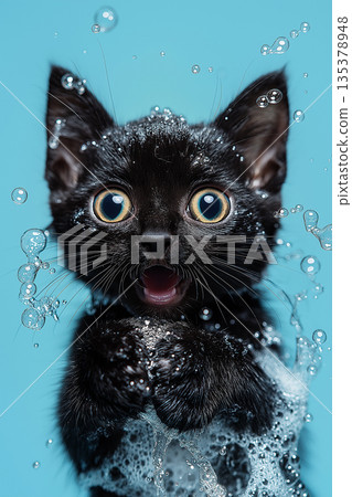 Playful kitten enjoying a bubbly bath with black fur and cute expression 135378948