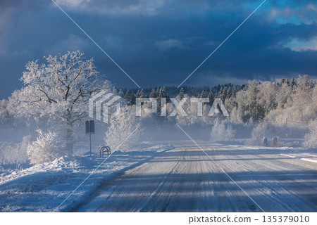 Icy Road Leading Into Winter Forest Icy Road Leading Into Winter Forest 135379010