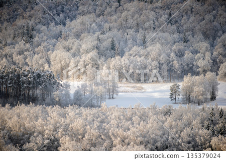 Frosted Winter Valley With Snowy Meadow and Forest Edge Frosted Winter Valley With Snowy Meadow and Forest Edge 135379024