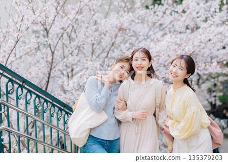 Sakura and three female college students Sakura and three female college students 135379203