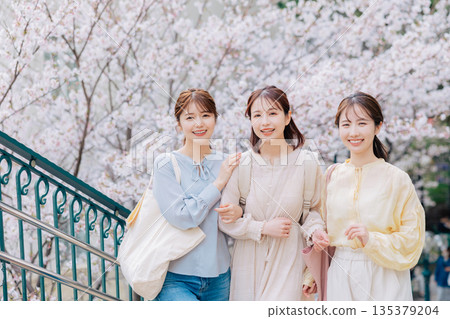 Sakura and three female college students 135379204