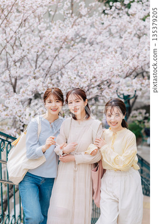 Sakura and three female college students 135379205