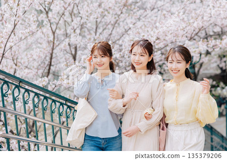 Three female college students walking on a cherry blossom campus 135379206