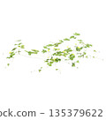 Duchesnea indica grass plants 3d illustration on transparent background 135379622
