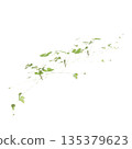Duchesnea indica grass plants 3d illustration on transparent background 135379623