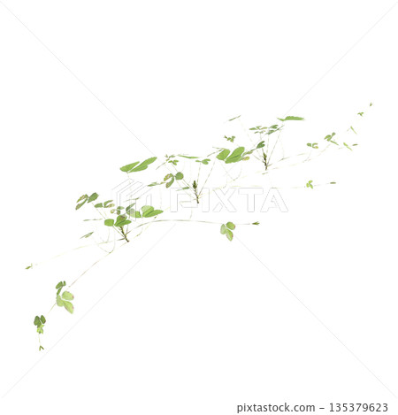 Duchesnea indica grass plants 3d illustration on transparent background 135379623