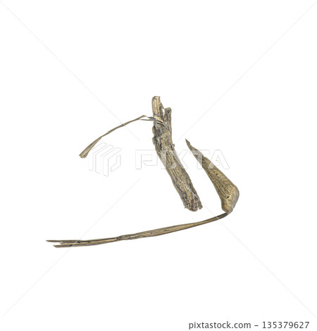 Dry grass plants 3d illustration on transparent background 135379627