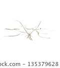 Dry grass plants 3d illustration on transparent background 135379628